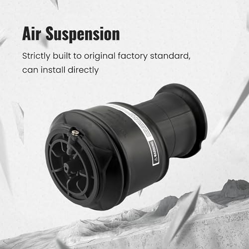 maXpeedingrods Paar Federbalg Luftfederung Hinten Links + Rechts für Citroen Picasso C4 5102GN