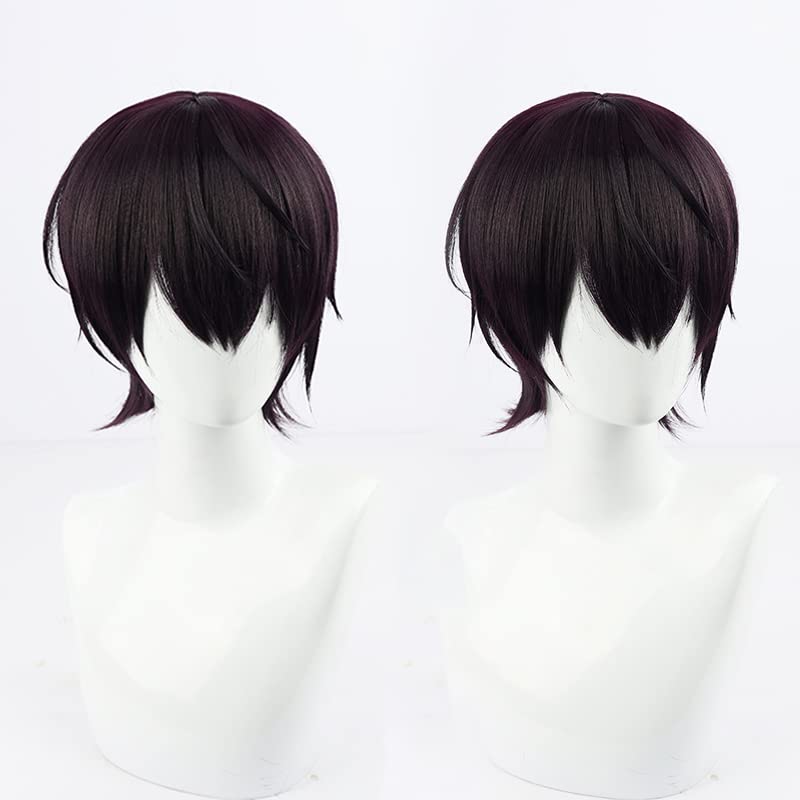 Amazon.co.jp: コスプレウィッグ 耐熱ウィッグ 剣持 刀也（けんもち