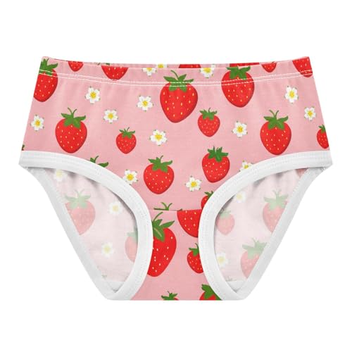 Fruit Strawberry Flowers Floral Pink Toddler Girls's Underwear 2T 2301889