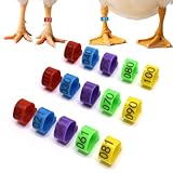 BDS-HOME 100Pcs Numbered Chicken Leg Rings, 16 mm Clip-On Poultry Foot Ring Mark Plastic Anklets Identification Leg Bands Clip Ring for Hens Duck Goose Pigeon Turkeys (5 Color)