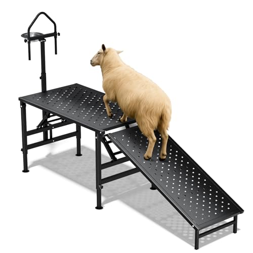 POOAMY Goat Milking Stand with a Ramp, Metal Goat Stand with Feed Bin, 600LBS Livestock Trimming Stand with Height Adjustable, Sturdy Sheep Stand for Goats and Lambs, Black.