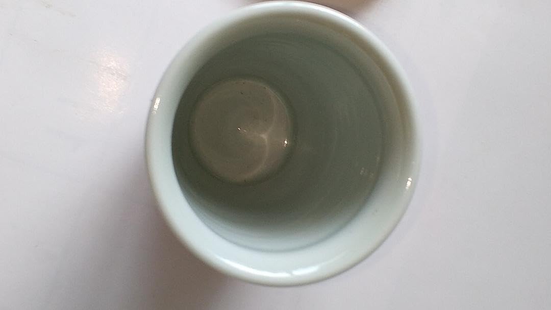 平安 玉堂窯 紅毛写 替茶器 オランダ写 薄茶器 茶道具 共箱 茶入 新品 茶道具 紅毛 オランダ 皆具 横田鳳山 共箱 水指 尺立 建水 蓋置