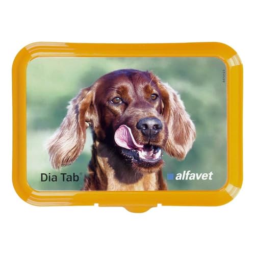 DIA TAB Reiseapo.Kautabletten f.Hunde/Katzen 20X5.5 g