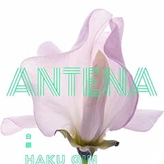 ���� / ANTENA