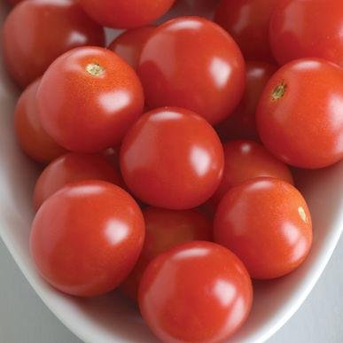 とまとページ Amazon.com : Frozen Seed Capsules - BHN-968 Cherry Tomato