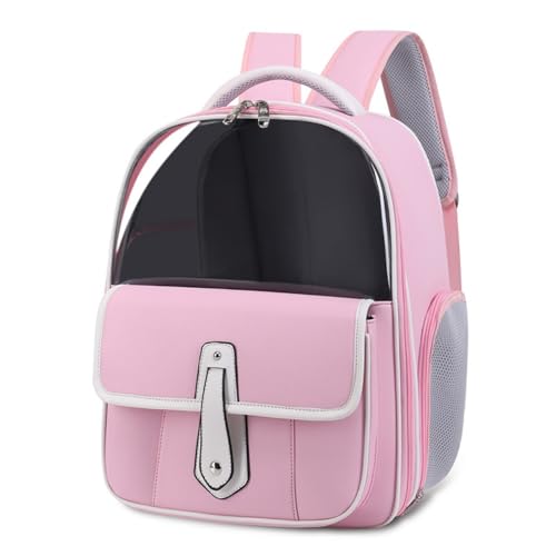 LamanttobNpbNALƌ̃obNpbNAybgLAobNpbNAJ[eobOAeʁAFDfUCA2ނ̑AsAa@Aً}AЊQɍœKAω׏d22|hA܂肽ݎAhAOoɎ^щ\B (sN)