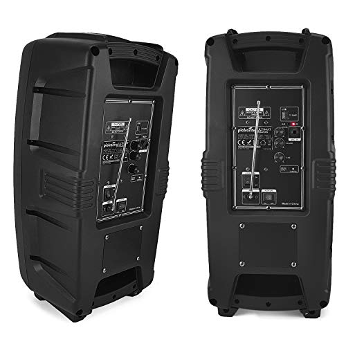 pickering party speaker