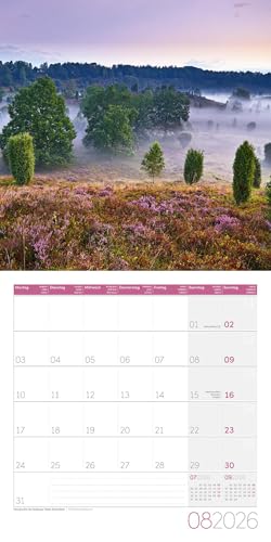Magie des Lichts Broschürenkalender 2026 - 30x30 - Art12 | Geschmackvoller Landschaftskalender im schlanken Hochformat (aufgeklappt 30x60 cm) | Notiz