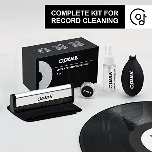 Vinyl Record Cleaner Kit 5-In-1,Anti Static Carbon Fiber Vinyl Record Cleaning Brush,Turntable Stylus Cleaning Gel,Air Blower Cleaner,Cleaning Cloth,Cleaning Solution Liquid,Vinyl Record Cleaning Kit #TOP2