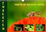 VIELFALT - Mit über 25.000 verschiedenen Kalendern bietet der CALVENDO Verlag für jeden Geschmack das richtige Produkt. Zudem sind die Kalender meist in den Formaten DIN A5, DIN A4, DIN A3 sowie DIN A2 verfügbar. Der ideale Kalender für Ihr Wohnzimmer, Schlafzimmer, Küche, Esszimmer sowie für Kinderzimmer.