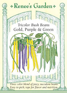Bean - Bush Tricolor Seeds Bean - Bush Tricolor Seeds