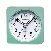 Algopix Similar Product 13 - Peakeep Ultra Small Battery Travel