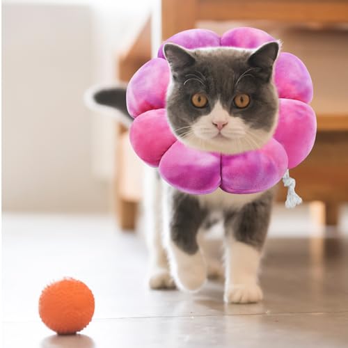 Image of Flower Cat Cone, Cat Cone Collar Dog Cone Soft Recovery E-Collar Dog Elizabethan Collar for Dogs and Cats to Stop Licking (Rose Purple, L)