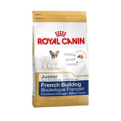 Royal Canin - Croquettes Chiens - Bouledogue Français - Junior jusqu'à 12 mois - 1 Kg