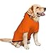 Pet Dog & Cat Hoodie, Basic Pet Clothes Hoodie Sweater with Hat, Color Orange Pet Hoodie, Multi-Color Soft and Warm Cute Casual Hoodie Sweatshirt for Medium Large Dogs, XL