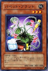 Amazon.co.jp: 【遊戯王カード】 パペット・プラント STON-JP022-N