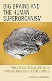Big Brains and the Human Superorganism: Why Special Brains Appear in Hominids and Other Social Animals