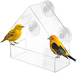 Casa Para Pássaros Livres Para Colocar Na Janela Alimentador de Passarinho