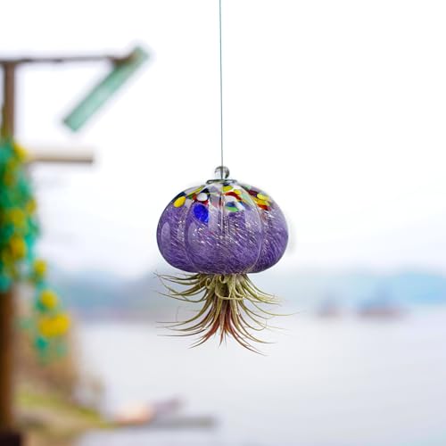 H&D Hyaline & Dora Hanging Hand Blown Art Glass Jellyfish Air Planter Terrarium Decor For Garden Porch Windowsill  thumb #8