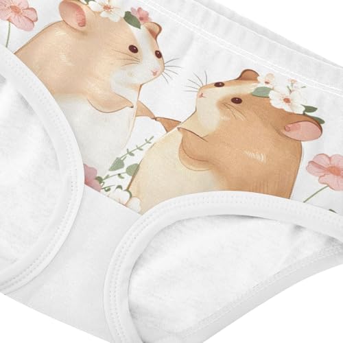 ALAZA Toddler Girls' Cotton Hipster Underwear Soft Hamster Garden 2 Pack 2T4
