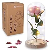 Beauty and the Beast Rose Gifts for Women - Beauty and the Beast Gifts - Light Up Roses, Rose in Glass Dome - Beauty and the Beast Decor for Library - Beauty and the Beast Party Decorations (Pink)