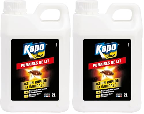 Insecticide punaises de lit traitement radical pour stopper les piqûres