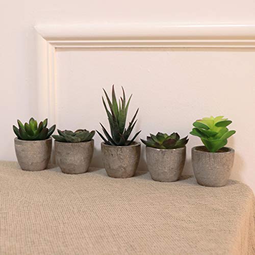 Plantas de suculentas com vasos de flores artificiais cacto de cacto, plantas de suculentas falsas 5