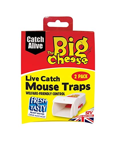 THE BIG CHEESE Live Catch Pre Baited Ready To Use Mouse Trap Humane Control Twin Pack STV155