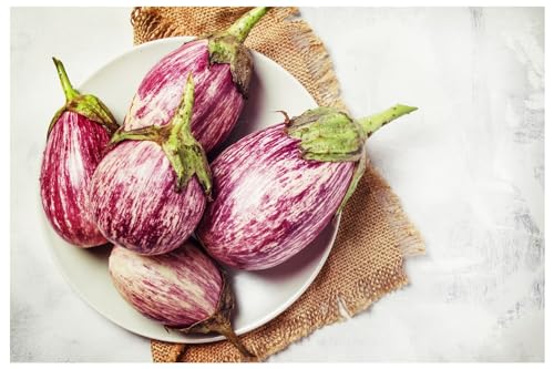 PREMIER SEEDS DIRECT - Organic Aubergine - LISTADA DE Gandia (550-Seeds)