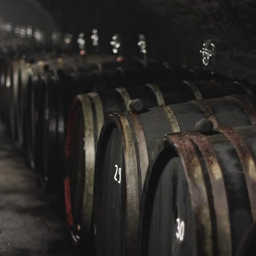 Ferdinand’s | Rosé Aperitif | Perfektes Sommergetränk mit Rhabarber und Holunderblüte | Mit Doctor Polidori Dry Tonic Water | 500ml + 2 x 200ml | 17% vol.