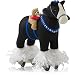 Hallmark 2014- Limited Edition - A Pony for Christmas - Repaint Ornament