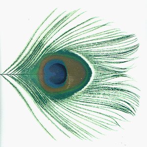 Apple Venus Volume 1