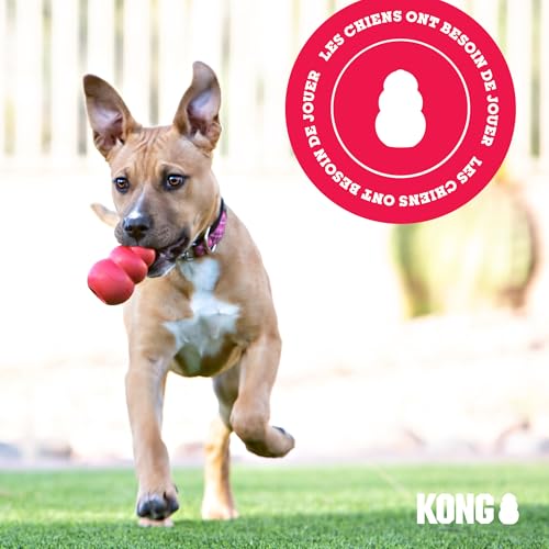 KONG Classic Jouet à Mâcher Remplissable pour Chiens, Petite Taille – vue 8