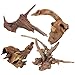 PINVNBY Natural Driftwood for Aquarium Fish Tank Decorations Assorted Branches Dearded Dragon Tank Accessories Terrarium Decor 4 Pack