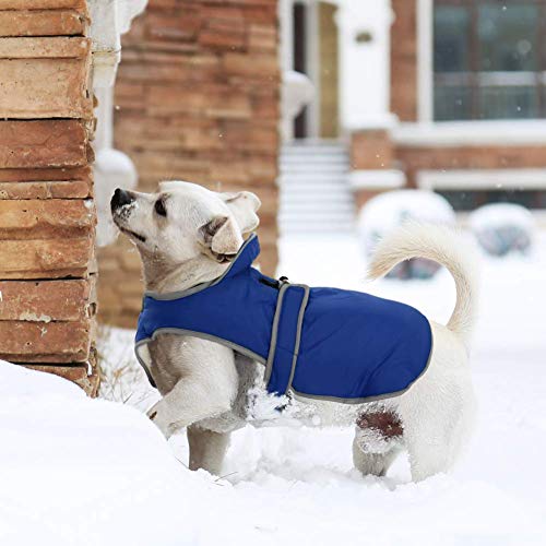 Migohi Reflective Waterproof Windproof Dog Coat Cold Weather Warm Dog Jacket Reversible Stormguard Winter Dog Vest For Small Medium Large Dogs (Navy, M) #TOP7