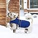MIGOHI Reflective Waterproof Windproof Coat for Dogs - Cold Weather - Warm Dog Jacket - Reversible Stormguard Winter Vest - Small to Large Sizes (Navy, XL)