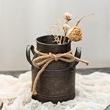 Cabilock 2 Stücke Vintage Blumenvase Milchkanne Eisen Blumentopf Shabby Chic Deko Landhaus Vase Rustikal Blumeneimer Mini Metall Eimer Übertopf Dekovase Kaktus Topf für Wohnzimmer Tischdeko - 2