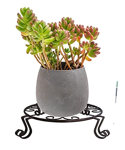 Dearyhome 2 Pack Metal Plant Stand For Flower Pot, 12" Wrough Iron Rustproof Round Garden Container, Patented Heavy Duty Potted Holder Indoor Outdoor Planter Supports Display Rack, Bronze #TOP4