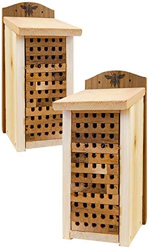 Woodlink Heavy Duty Cedar Mason Bee Houses, Large Pollinator Shelters, Pack of 2 Solitary Bee Houses for Orchard and Mason Bees