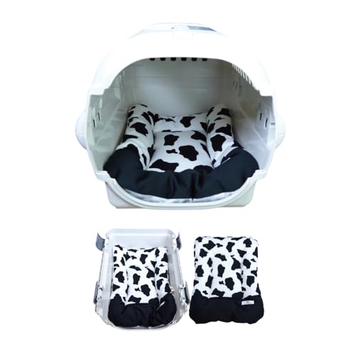 yBest Wonderz ybgxbh ybg}bg tėp ڐG⊴ Ђ> p Lp N[g NbV { (EV, MTCY)