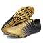 Goldblack