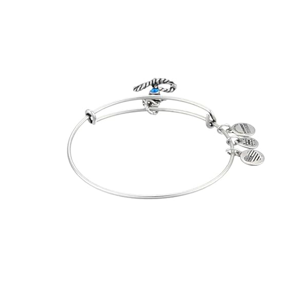 Alex and Ani Anchor III EWB, Rafaelian Silver Bangle Bracelet