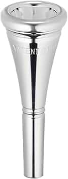 41WGTSeuvLL._AC_UF350,