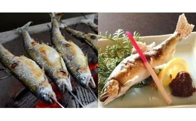 107005 奈半利川の友釣り天然アユ2尾と奈半利川の天然アメゴ3尾セット(冷凍)