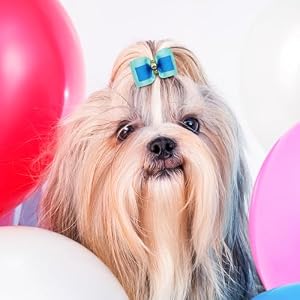 Cute Dog Hair Bows with Rubber Bands for Small Dogs, Bulk Pet Dog Grooming Bowknot with Rhinestone Pearl, Mix Handmade Puppy Yorkie Dog Bows for Dog Hair Accessories(30pcs) Cute Dog Hair Bows with Rubber Bands for Small Dogs, Bulk Pet Dog Grooming Bowknot with Rhinestone Pearl, Mix Handmade Puppy Yorkie Dog Bows for Dog Hair Accessories(30pcs)