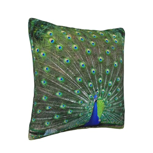 Housse de coussin velours côtelé paon 45x45 cm pour salon