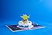 Lovepop Yoda Birthday Pop-Up Card for Her and Him - 3D Greeting Cards for Boys, Girls, Men, Women - 5
