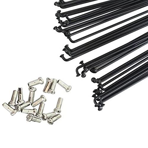 Rayons en acier VTT 255mm de rechange pour réparation de roue de vélo de montagne