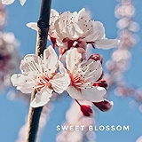 4. Sweet Blossom