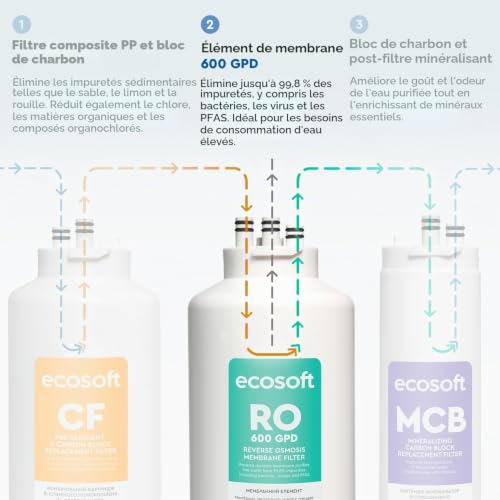 Ecosoft membrane 600 GPD pour CROSS 90, recharge pour o...